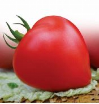 Томат Премиум F1 (инкруст. семена) - ООО «Семена Тут»