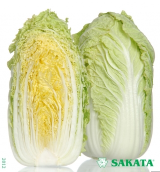 img-0: Капуста пекинская Ричи F1 - ООО «Семена Тут»