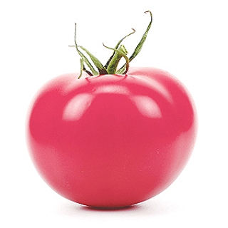 img-0: Томат Вернер F1 - ООО «Семена Тут»