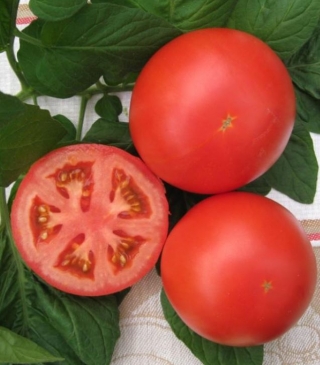 img-0: Томат Портос F1 - ООО «Семена Тут»