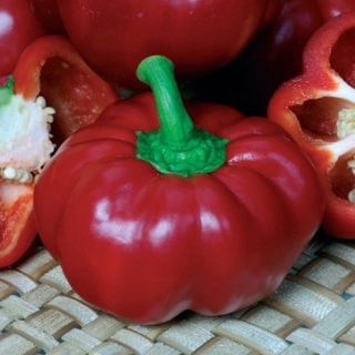 Перец Притавит F1 - ООО «Семена Тут»