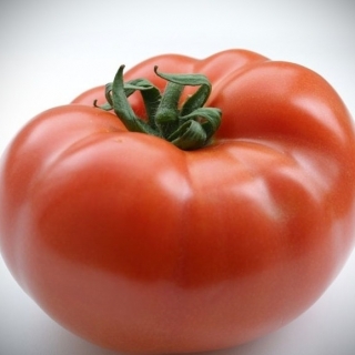 img-0: Томат Сеньор F1 - ООО «Семена Тут»
