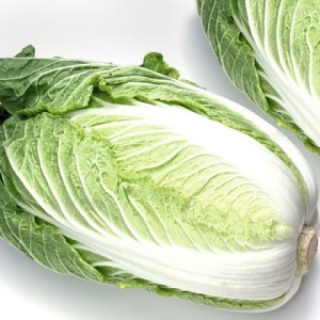 img-0: Капуста пекинская Айкидо - ООО «Семена Тут»