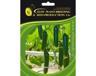 img-2: Огурец Волга F1 - ООО «Семена Тут»