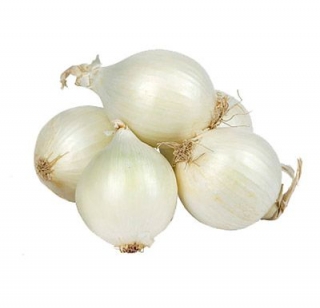 Лук репчатый Альбион F1 белый - ООО «Семена Тут»