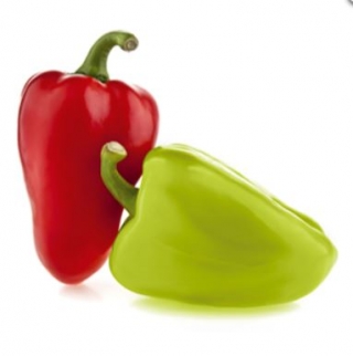 Перец Флавий F1 - ООО «Семена Тут»