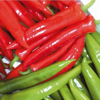 Перец Мата Хари острый F1 - ООО «Семена Тут»