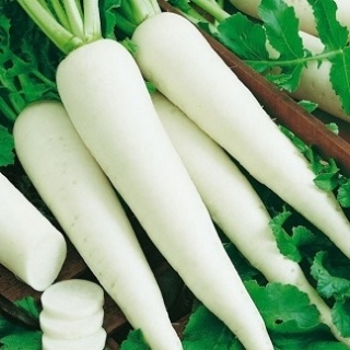 img-0: Дайкон Миноваси РС - ООО «Семена Тут»