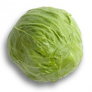 Капуста белокочанная Райма F1 - ООО «Семена Тут»