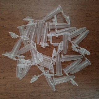 Пробирка полипропиленовая 32*8 мм [100 шт/уп] - ООО «Семена Тут»