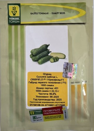 img-1: Огурец Крисфильд F1 - ООО «Семена Тут»