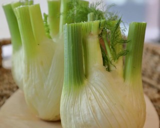 img-1: Фенхель Феномен - ООО «Семена Тут»