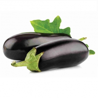 Баклажан Джейло F1 - ООО «Семена Тут»