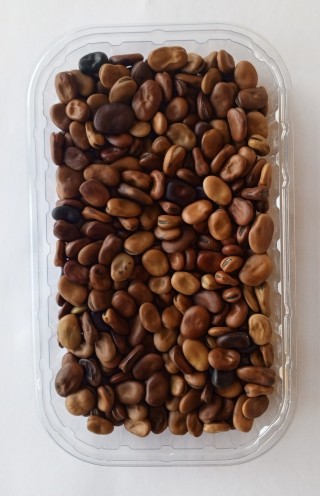 img-1: Бобы овощные Белые крупноплодные - ООО «Семена Тут»