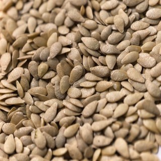 img-3: Мелотрия (мышинная дыня) Полосатик - ООО «Семена Тут»