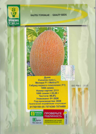img-1: Дыня Мелира F1 - ООО «Семена Тут»