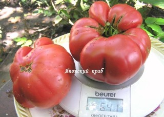 img-1: Томат Японский краб - ООО «Семена Тут»