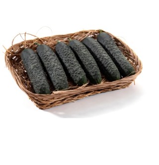 img-0: Огурец Аскольд F1 - ООО «Семена Тут»