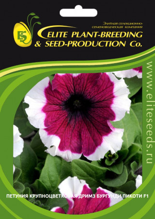 img-1: Петуния грандифлора Дримс Бургунди Пикоти [70 драже] - ООО «Семена Тут»