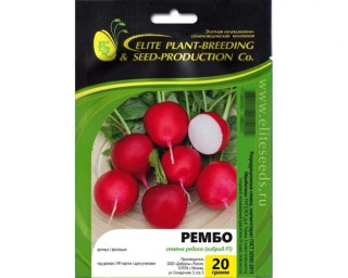 img-1: Редис Рембо - ООО «Семена Тут»
