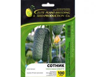img-2: Огурец Сотник F1 - ООО «Семена Тут»