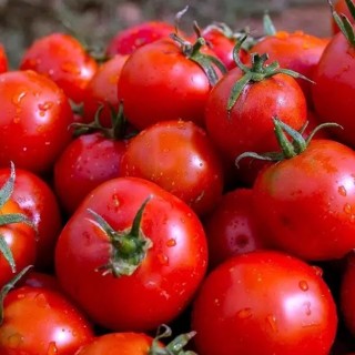 Томат Маскарена - ООО «Семена Тут»