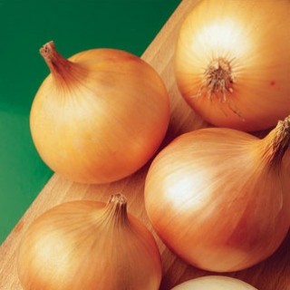 Лук репчатый Халцедон (инкруст. семена) - ООО «Семена Тут»