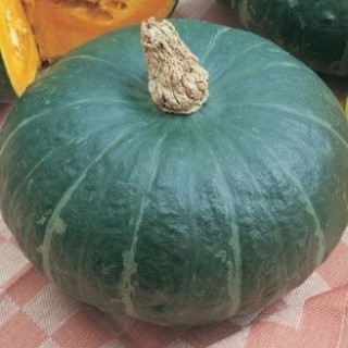 img-0: Тыква крупноплодная Амбар - ООО «Семена Тут»