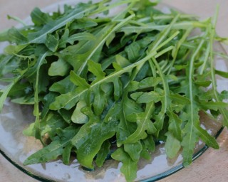 img-1: Рукола Гурман - ООО «Семена Тут»