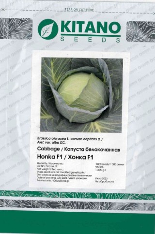 img-1: Капуста белокочанная Хонка F1 - ООО «Семена Тут»