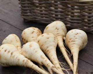 img-1: Пастернак Посейдон - ООО «Семена Тут»