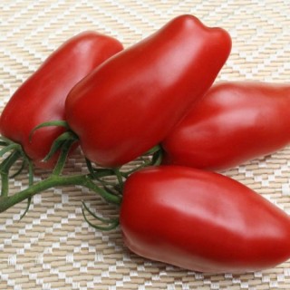 img-0: Томат Гаспачо F1 - ООО «Семена Тут»