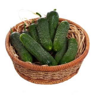 img-0: Огурец Крисфильд F1 - ООО «Семена Тут»