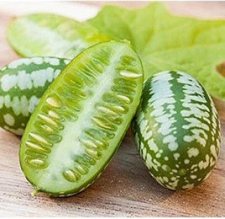 img-0: Мелотрия (мышинная дыня) Полосатик - ООО «Семена Тут»