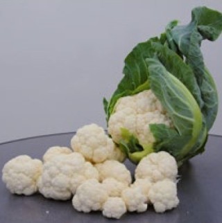 Капуста цветная Октопус F1 - ООО «Семена Тут»