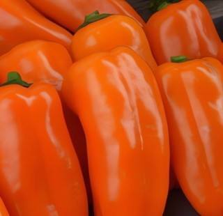 Перец сладкий Оранжевый букет - ООО «Семена Тут»