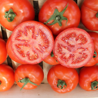 img-1: Томат Раннер F1 - ООО «Семена Тут»