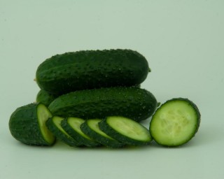 img-1: Огурец Стартап+ F1 - ООО «Семена Тут»