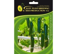 img-2: Огурец Волга F1 - ООО «Семена Тут»