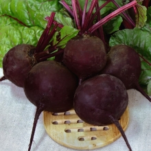 Свекла Хуторянка - ООО «Семена Тут»