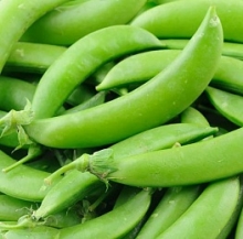 Горох овощной Эверест - ООО «Семена Тут»