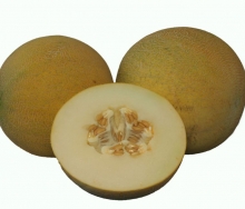 Дыня Сенсейшен F1 - ООО «Семена Тут»