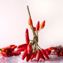 Перец Харакири острый - ООО «Семена Тут»