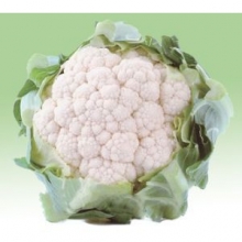 Капуста цветная Кашмир F1 - ООО «Семена Тут»