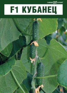 img-1: Огурец Кубанец F1 - ООО «Семена Тут»