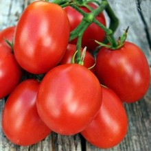 Томат Коррида - ООО «Семена Тут»