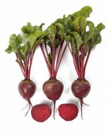 Свекла столовая Белуши F1 - ООО «Семена Тут»