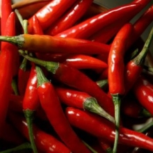 Перец острый Гомера F1 - ООО «Семена Тут»