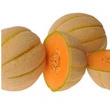 Дыня Халона F1 - ООО «Семена Тут»