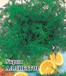 img-1: Укроп Аллигатор - ООО «Семена Тут»